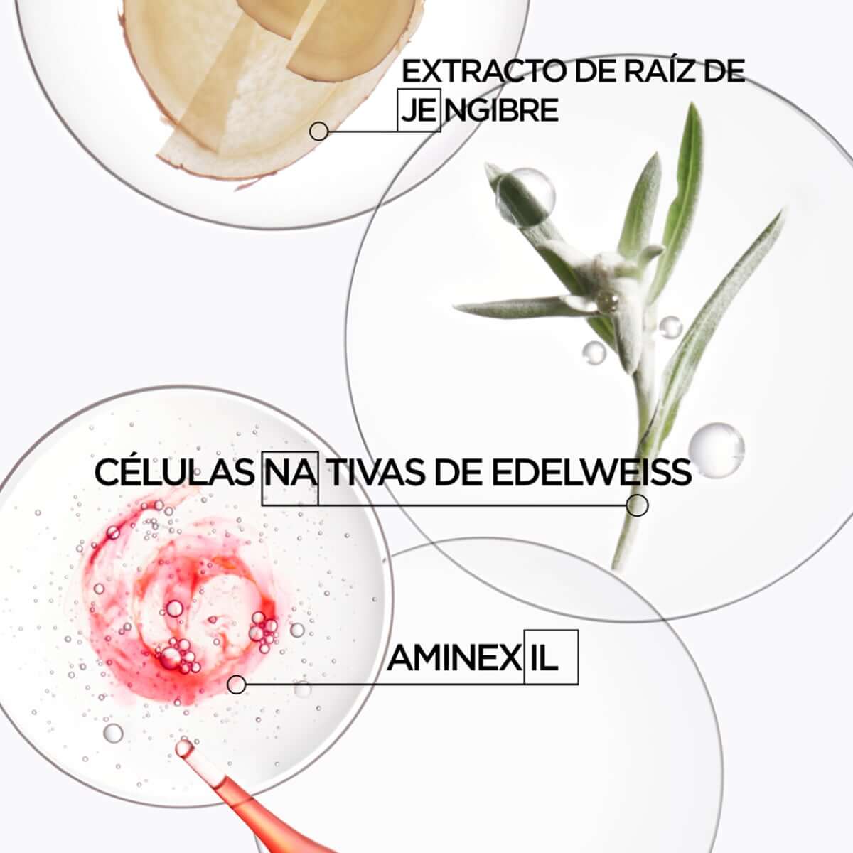 SET HOLIDAYS BLOND ABSOLU (SET PARA CABELLO RUBIO CON REGALOS EXCLUSIVOS)